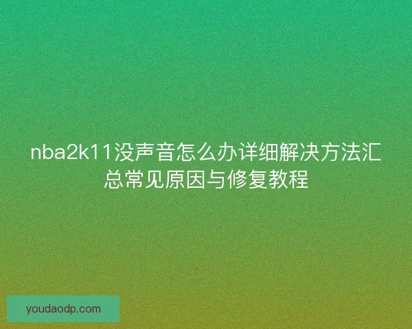 nba2k11没声音怎么办详细解决方法汇总常见原因与修复教程