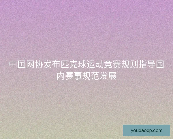 中国网协发布匹克球运动竞赛规则指导国内赛事规范发展